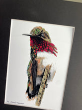 Load image into Gallery viewer, Anna&#39;s Hummingbird - Giclee Print Matted
