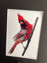 Load image into Gallery viewer, Male Cardinal
