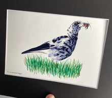 Load image into Gallery viewer, Dalmatian Magpie

