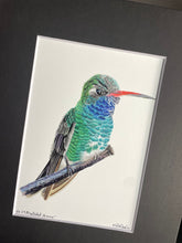 Load image into Gallery viewer, Broad-billed Hummer #29
