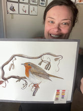 Load image into Gallery viewer, European Robin
