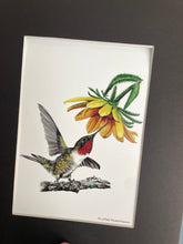 Load image into Gallery viewer, Ruby-throated Hummer
