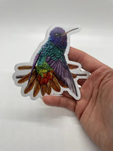 Load image into Gallery viewer, Golden-tailed Sapphire Hummer
