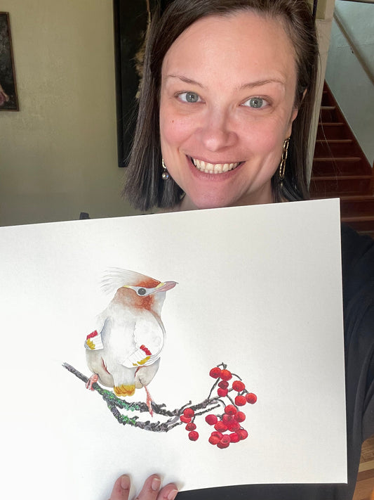 Leucistic Bohemian Waxwing - Bird Art by KB