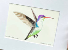Load image into Gallery viewer, Violet Crowned Hummer #7
