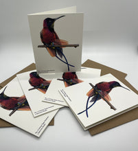 Load image into Gallery viewer, Crimson Topaz Hummer
