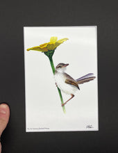 Load image into Gallery viewer, Adult Tawny Flanked Prinia
