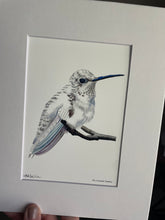 Load image into Gallery viewer, Leucistic Hummer
