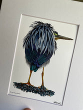 Load image into Gallery viewer, Green Heron #94
