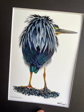 Load image into Gallery viewer, Green Heron
