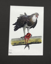 Load image into Gallery viewer, Osprey

