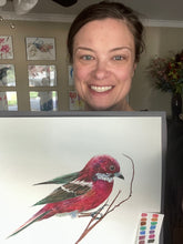 Load image into Gallery viewer, Rose Finch
