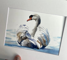 Load image into Gallery viewer, Mute Swan
