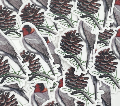 Red-faced Warbler - Bird Art by KB