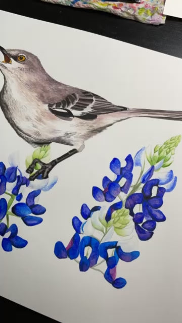 Mockingbird - Bird Art by KB - Timelapse Painting 2