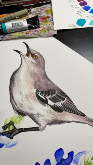 Mockingbird - Bird Art by KB - Timelapse Painting 1