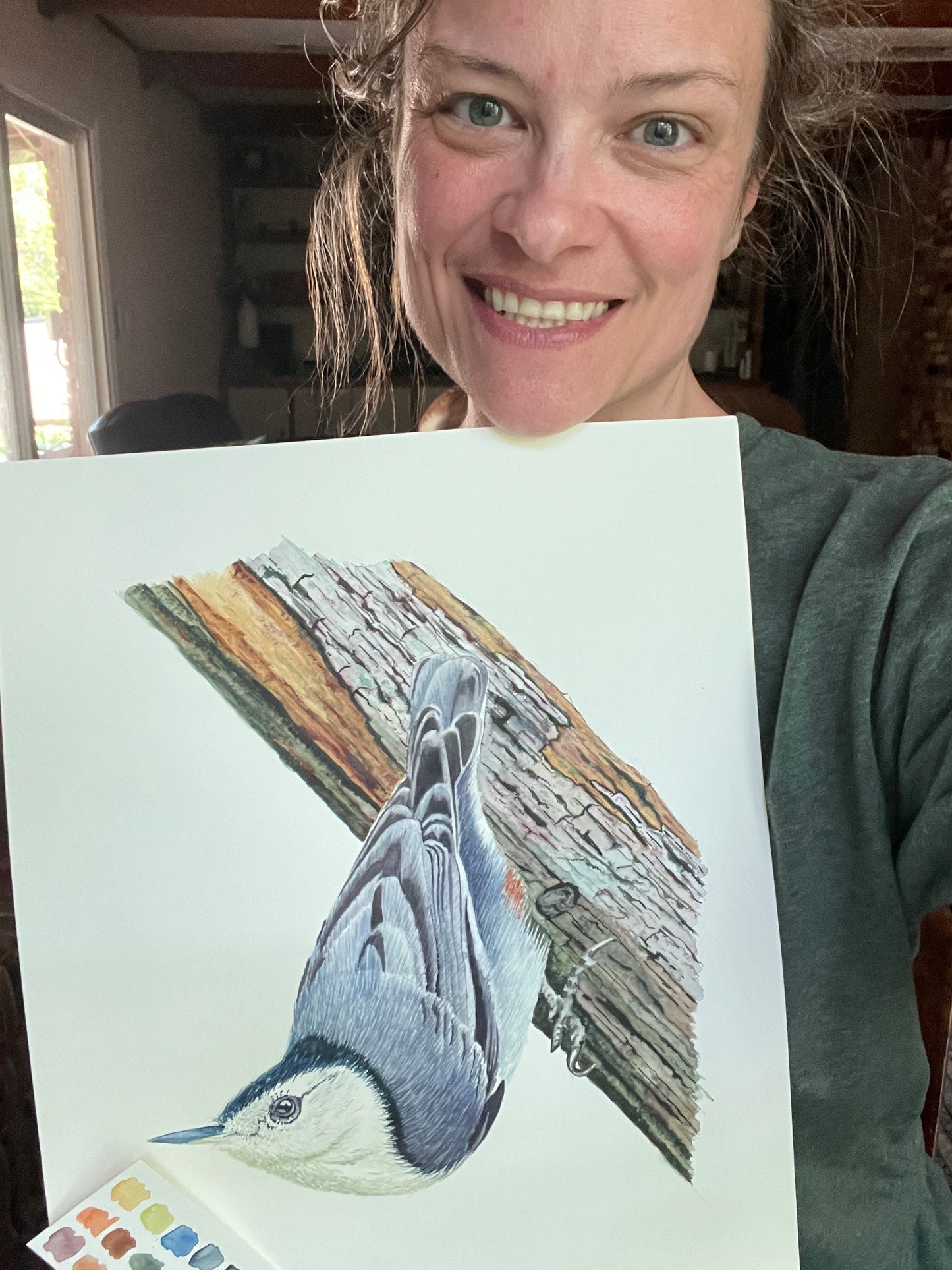 Artist holding the original painting of a white-breasted nuthatch perched on a tree trunk, showing the artwork clearly.