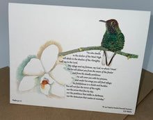 Load image into Gallery viewer, Hummers of Hope, Set 3…&#39;God Knows You&#39; Series Folded Notecards with Envelopes.
